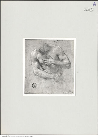 Vorderseite von bh135435_recto