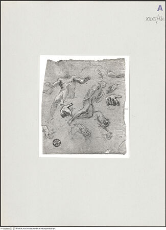 Vorderseite von bh135436_recto