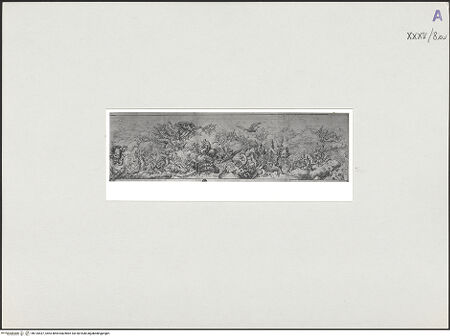 Vorderseite von bh135437_recto