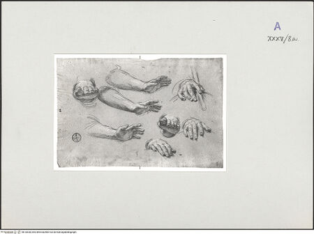 Vorderseite von bh135438_recto