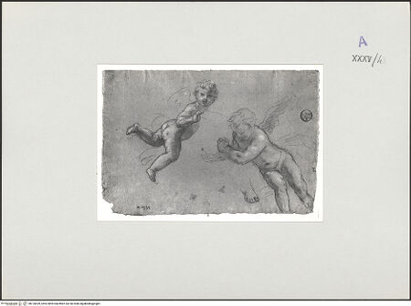 Vorderseite von bh135439_recto