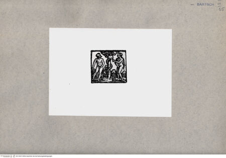 Vorderseite von  [http://creativecommons.org/publicdomain/mark/1.0/] Adam und Eva - , bh135619. Foto.