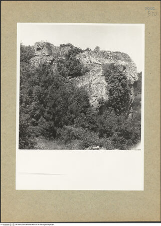 Vorderseite von bh135815_recto