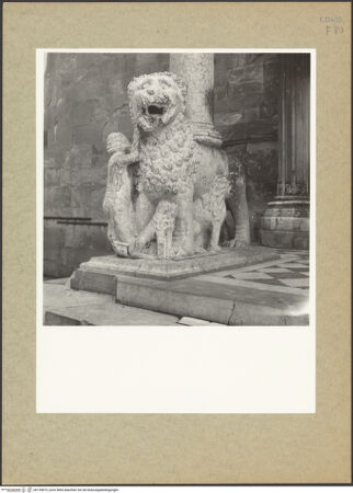 Vorderseite von bh135819_recto