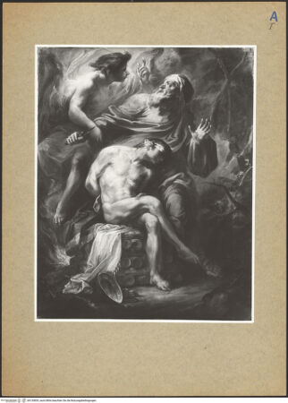 Vorderseite von bh135835_recto