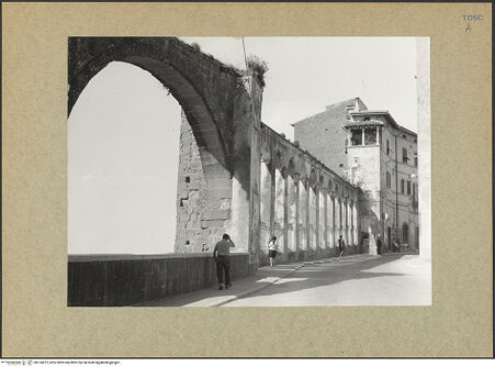 Vorderseite von bh135872_recto