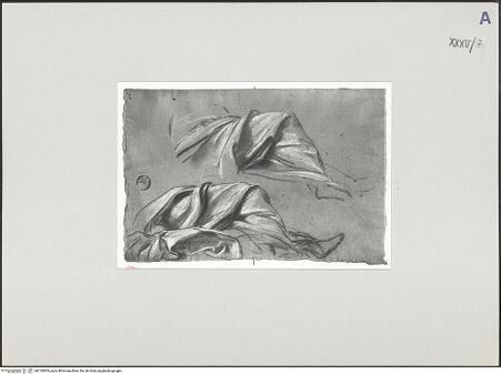 Vorderseite von bh135893_recto