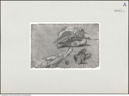 Vorderseite von bh135894_recto