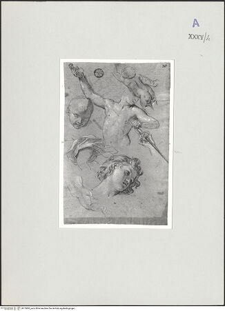 Vorderseite von bh135895_recto