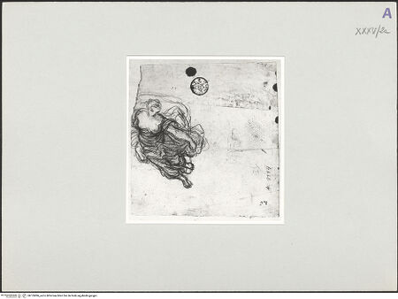 Vorderseite von bh135896_recto