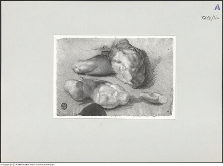 Vorderseite von bh135897_recto