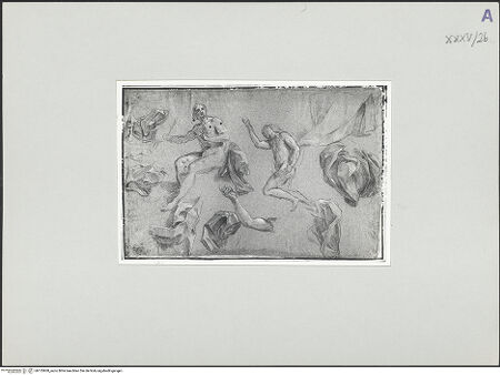 Vorderseite von bh135900_recto