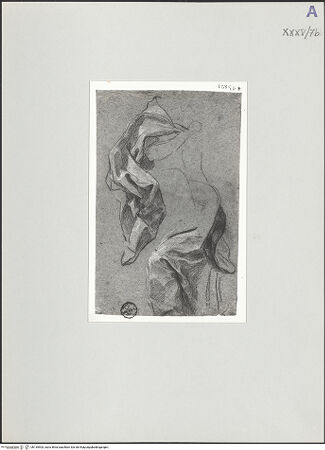 Vorderseite von bh135903_recto