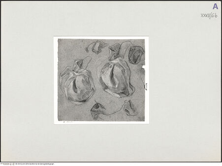 Vorderseite von bh135910_recto