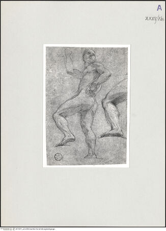 Vorderseite von bh135911_recto