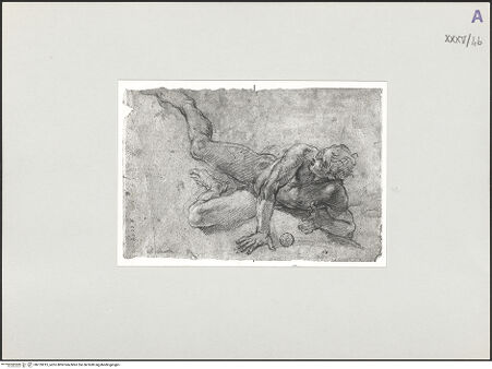 Vorderseite von bh135915_recto