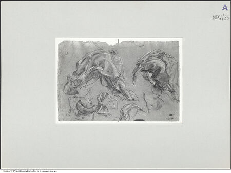 Vorderseite von bh135916_recto