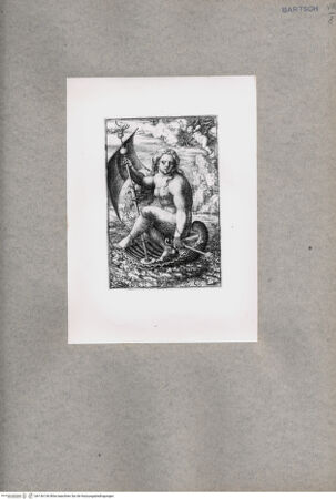 Vorderseite von  [http://creativecommons.org/publicdomain/mark/1.0/] Venus - , bh136136. Foto.