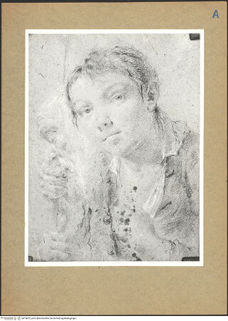 Vorderseite von bh136312_recto