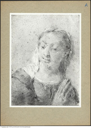 Vorderseite von bh136313_recto