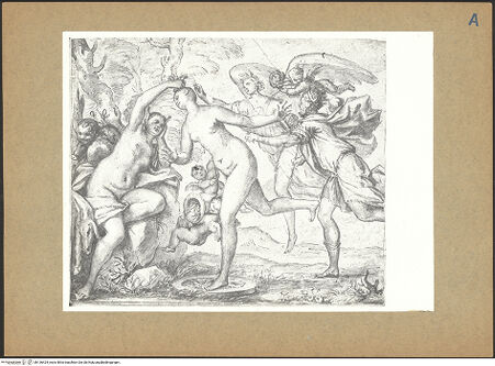 Vorderseite von bh136424_recto