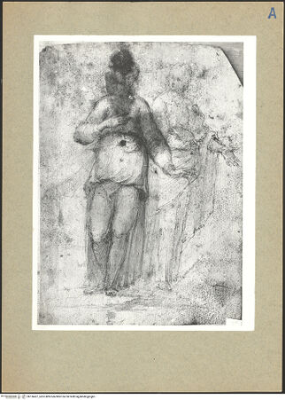 Vorderseite von bh136427_recto