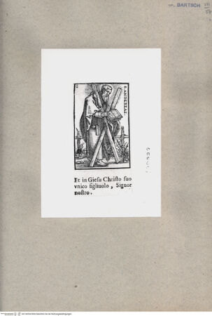 Vorderseite von  [http://creativecommons.org/publicdomain/mark/1.0/] Heiliger Andreas - , bh136554. Foto.
