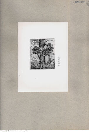 Vorderseite von  [http://creativecommons.org/publicdomain/mark/1.0/] Heiliger Bartholomäus - , bh136559. Foto.