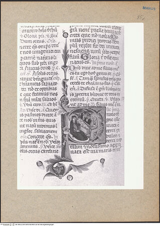 Vorderseite von bh136603_recto