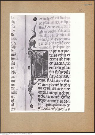 Vorderseite von bh136606_recto