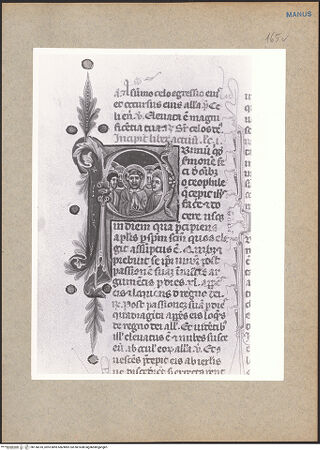 Vorderseite von bh136610_recto