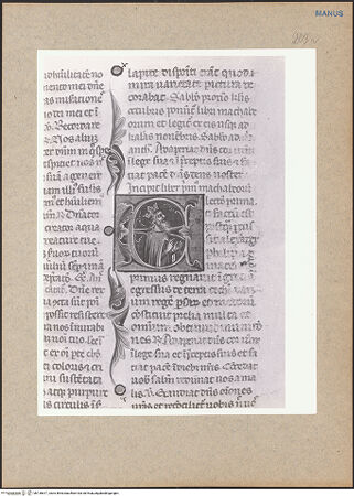 Vorderseite von bh136617_recto