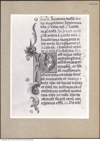 Vorderseite von bh136620_recto