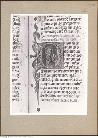 Vorderseite von bh136625_recto