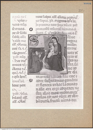 Vorderseite von bh136632_recto