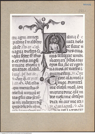 Vorderseite von bh136633_recto