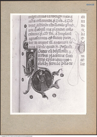 Vorderseite von bh136635_recto