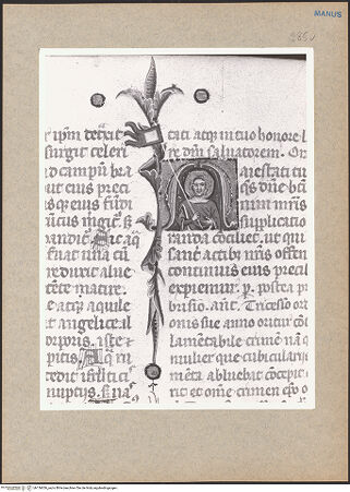 Vorderseite von bh136636_recto