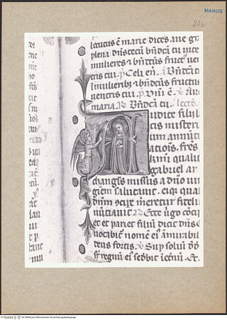 Vorderseite von bh136849_recto