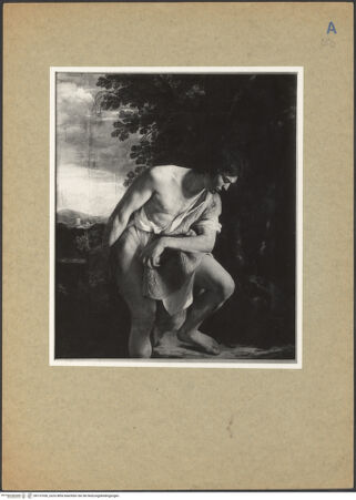 Vorderseite von bh137036_recto