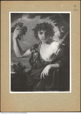 Vorderseite von bh137044_recto