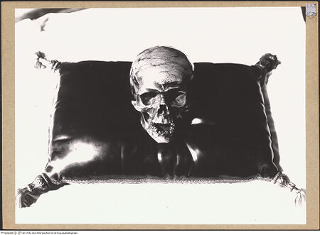 Vorderseite von bh137052_recto