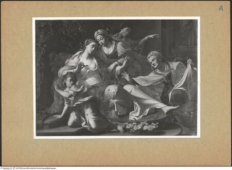 Vorderseite von bh137065_recto