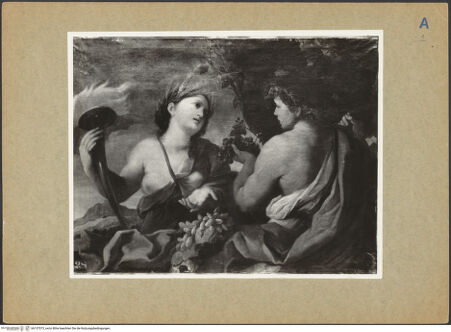 Vorderseite von bh137073_recto