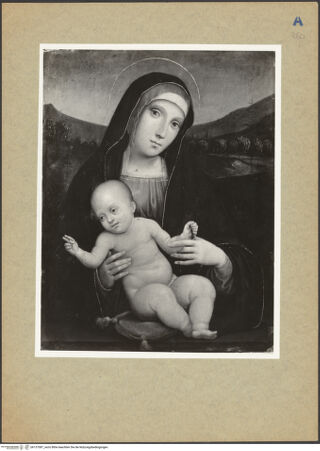 Vorderseite von bh137087_recto