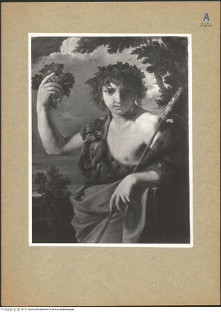 Vorderseite von bh137114_recto