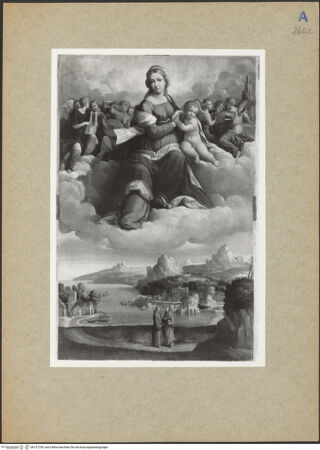 Vorderseite von bh137239_recto