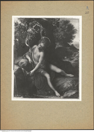 Vorderseite von bh137242_recto