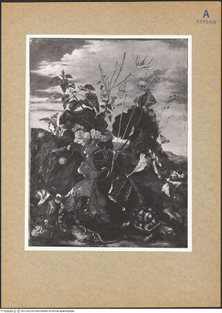 Vorderseite von bh137283_recto