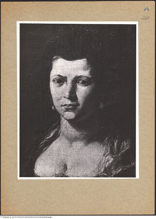 Vorderseite von bh137285_recto